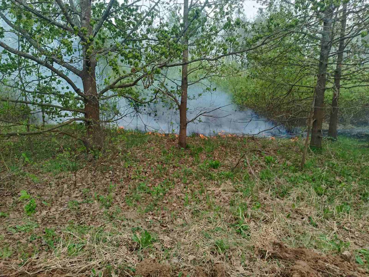 photo 2025 04 29 16 54 15