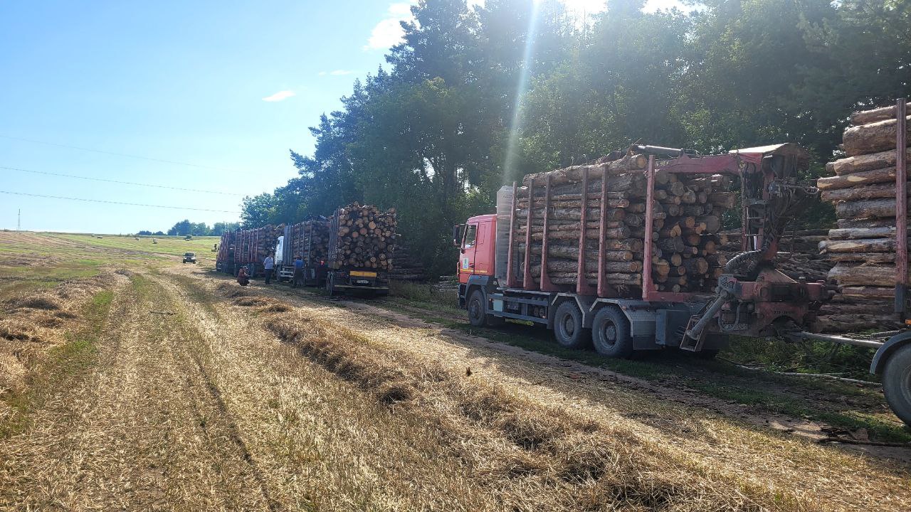 photo 2025 08 12 15 14 16