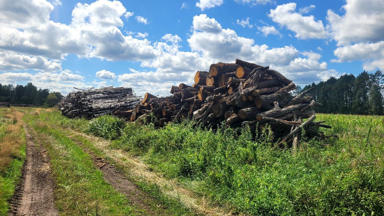 photo 2025 08 12 15 14 16 2